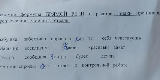 Вспомни формулы ПРЯМОЙ РЕЧИ и расставь знаки препинания в предложениях. Спиши в тетрадь.