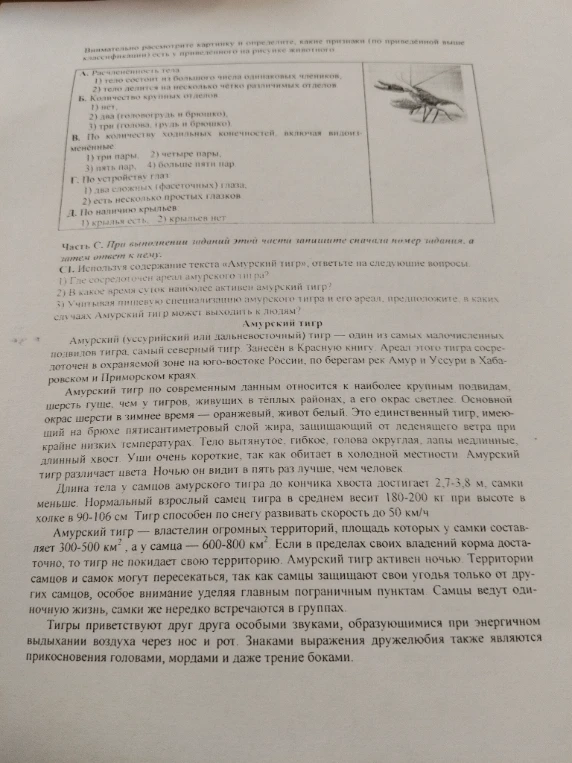 Внимательно рассмотрите картинку и определите, какие признаки (по приведенной выше классификации) есть у приведенного на рисунке животного