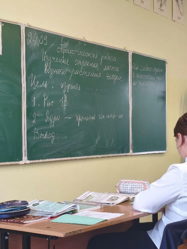 Практическая работа. Изучение строения листа водного растения элодеи. Цель : изучить ..... 1. Рис. 13 2. Ядро — хранение ген. инф-ии Вывод: