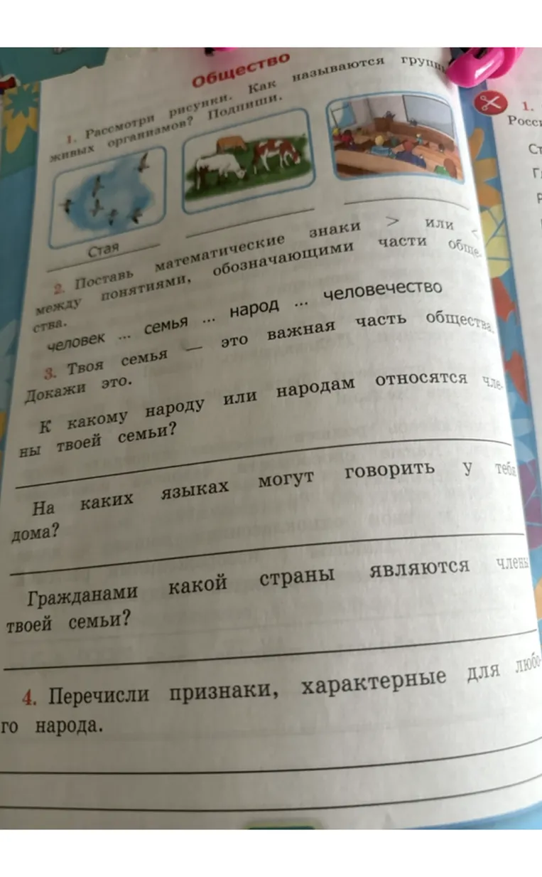 1. Рассмотри рисунки. Как называются группы живых организмов? Подпиши.