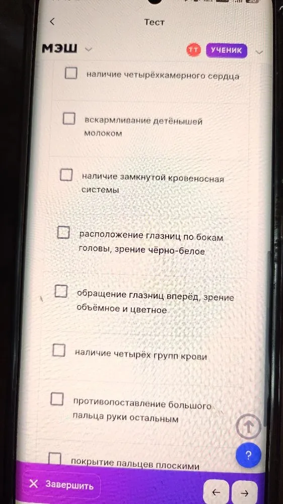 Выберите верные утверждения из предложенного списка (тест МЭШ).