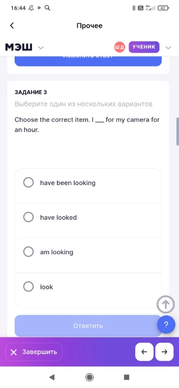 Choose the correct item. I ___ for my camera for an hour.