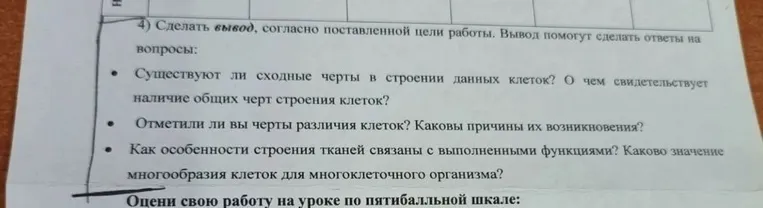 4) Сделать вывод, согласно поставленной цели работы. Вывод помогут сделать ответы на вопросы:
