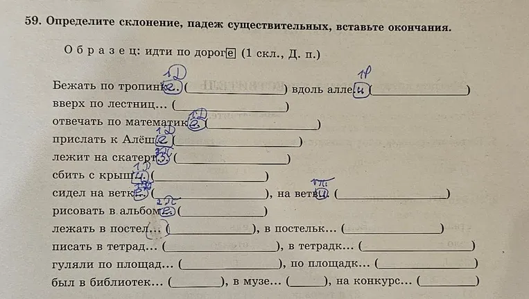59. Определите склонение, падеж существительных, вставьте окончания.