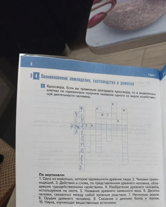 Кроссворд. Если вы правильно разгадаете кроссворд, то в выделенных клетках по горизонтали получите название одного из видов хозяйственной деятельности человека.