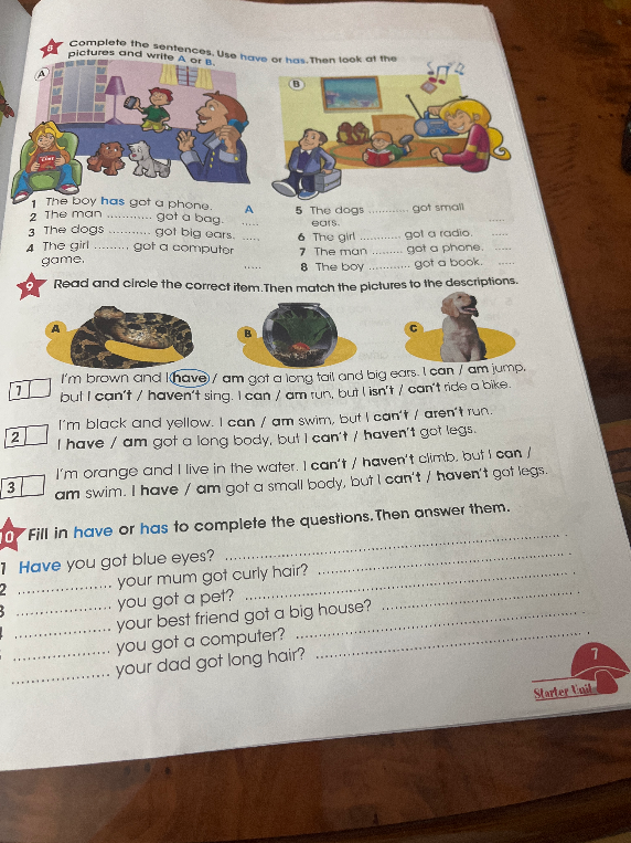 Complete the sentences. Use have or has. Then look at the pictures and write A or B.
