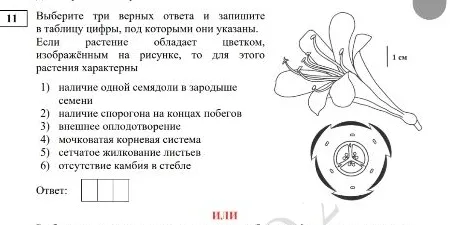 Выберите три верных ответа и запишите в таблицу цифры, под которыми они указаны.
