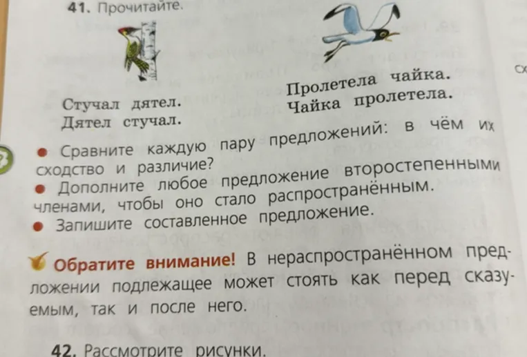 41. Прочитайте. Сравните каждую пару предложений: в чём их сходство и различие? Дополните любое предложение второстепенными членами, чтобы оно стало распространённым. Запишите составленное предложение.