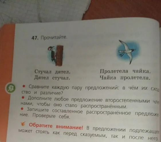 47. Прочитайте. Сравните каждую пару предложений: в чём их сходство и различие?