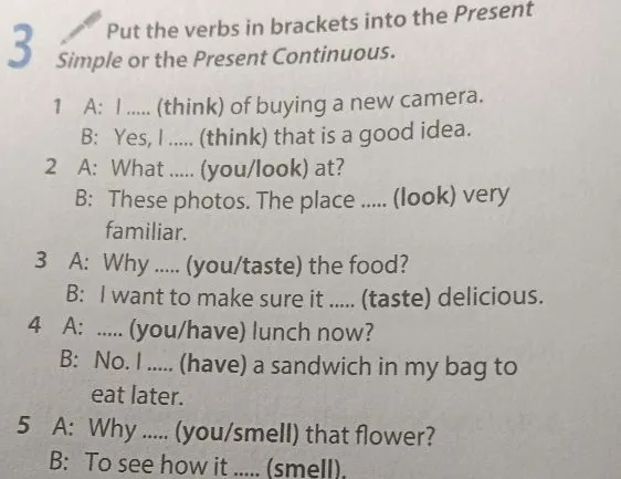 Put the verbs in brackets into the Present Simple or the Present Continuous.