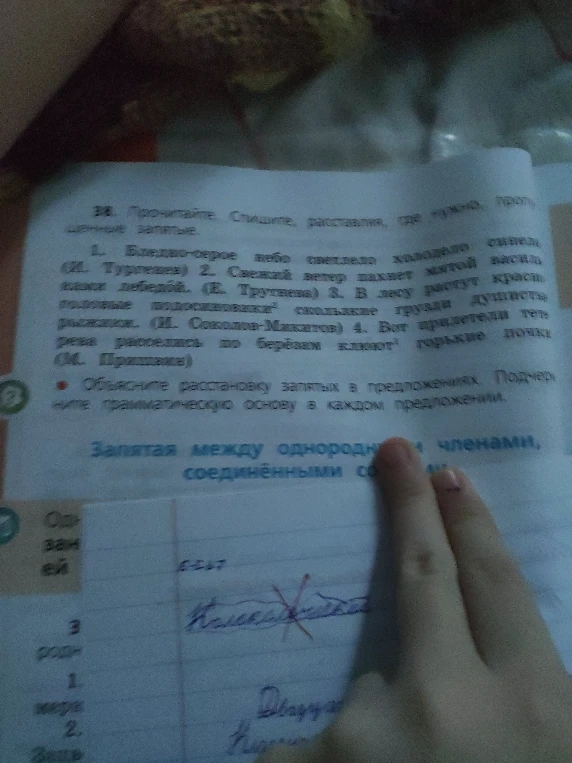 Прочитайте. Спишите, расставляя, где нужно, пропущенные запятые. Объясните расстановку запятых в предложениях. Подчеркните грамматическую основу в каждом предложении.