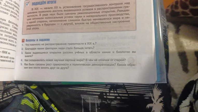 Что повлияло на распространение грамотности в XIX в.?