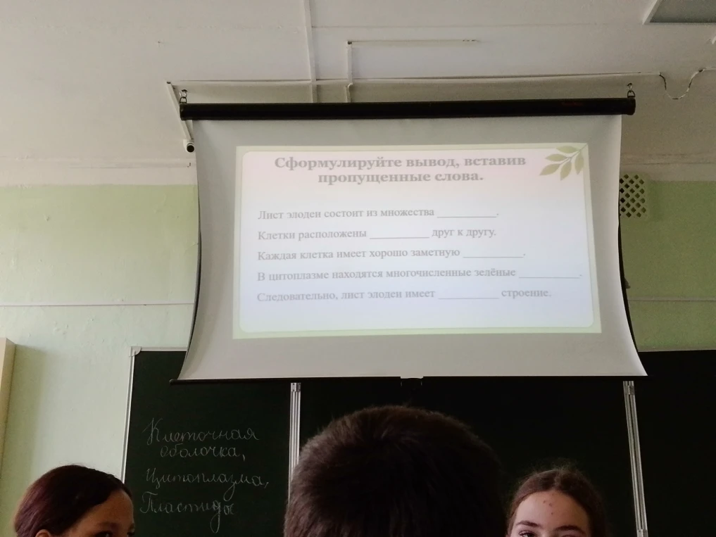 Сформулируйте вывод, вставив пропущенные слова. Лист элодеи состоит из множества ____. Клетки расположены ____ друг к другу. Каждая клетка имеет хорошо заметную ____. В цитоплазме находятся многочисленные зелёные ____. Следовательно, лист элодеи имеет ____ строение.