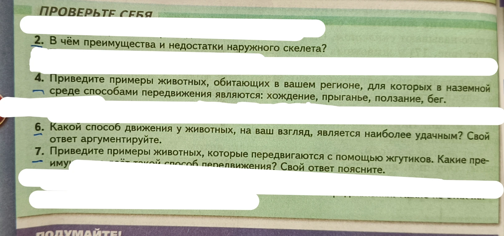 2. В чём преимущества и недостатки наружного скелета?