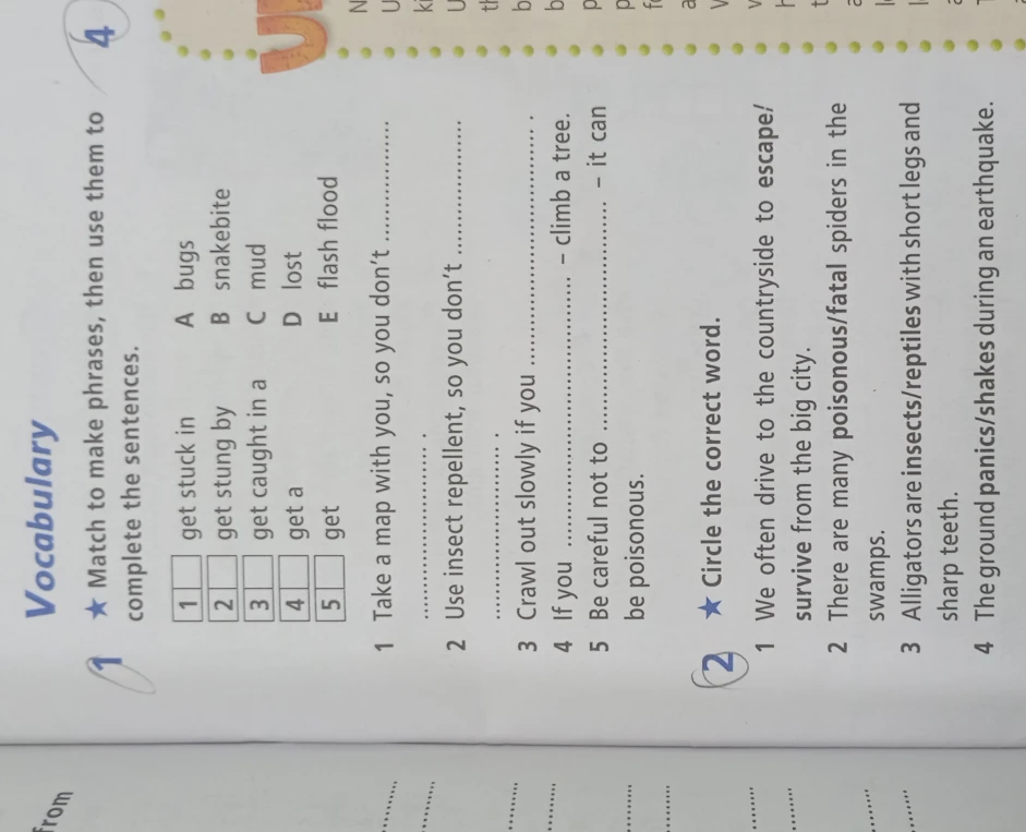 Match to make phrases, then use them to complete the sentences.