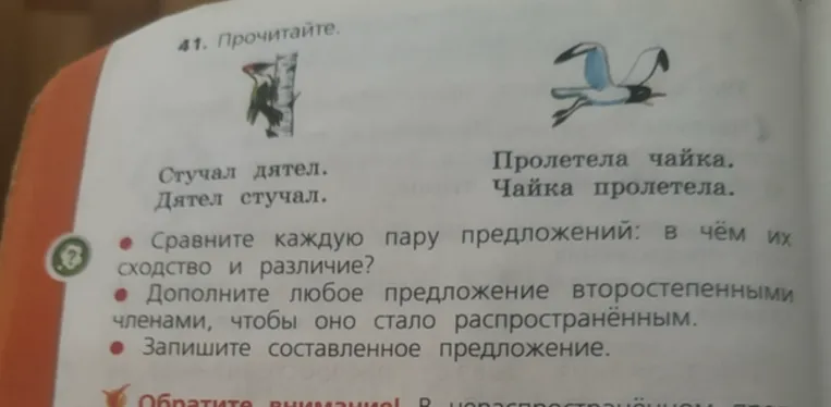 41. Прочитайте. Стучал дятел. Дятел стучал. Пролетела чайка. Чайка пролетела. Сравните каждую пару предложений: в чём их сходство и различие? Дополните любое предложение второстепенными членами, чтобы оно стало распространённым. Запишите составленное предложение.