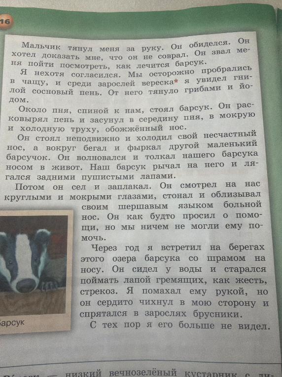 План из 3-х действий