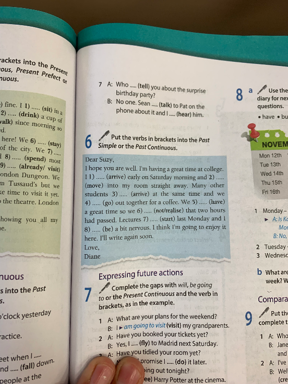 Put the verbs in brackets into the Past Simple or the Past Continuous. Dear Suzy, I hope you are well.