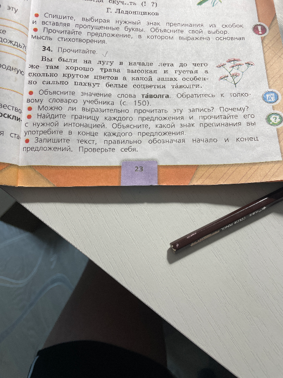 34. Прочитайте. Вы были на лугу в начале лета до чего же там хорошо трава высокая и густая а сколько кругом цветов а какой запах особенно сильно пахнут белые соцветия таволги.