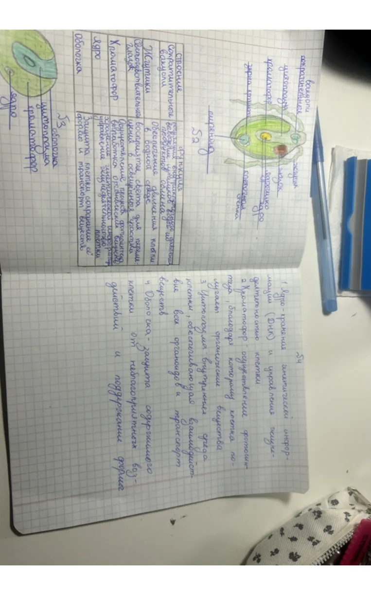 Сделай вывод исходя из записей