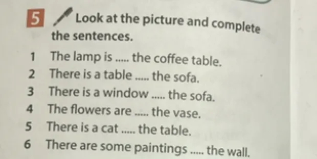 Look at the picture and complete the sentences.