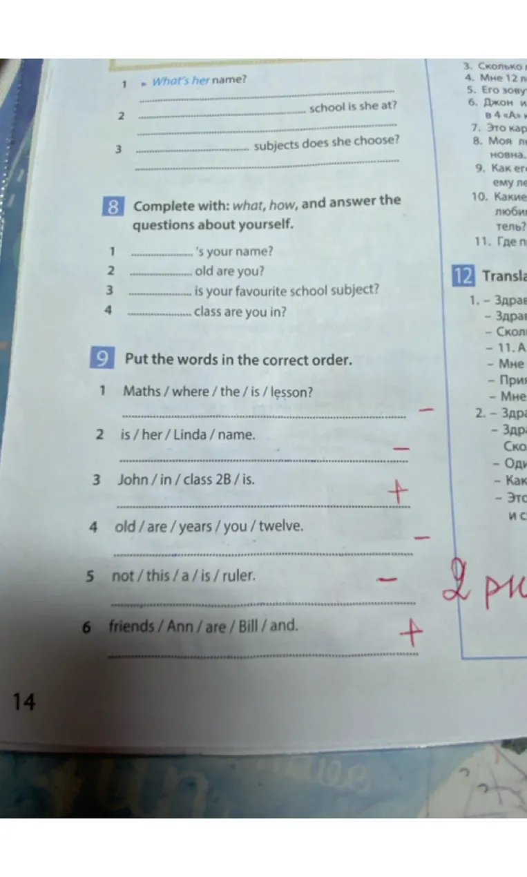 Put the words in the correct order.