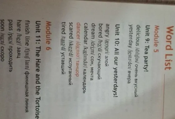 Word List Module 5 Unit 9: Tea party!