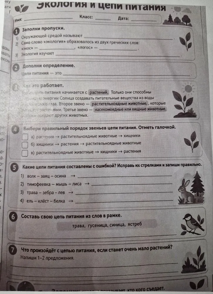 Экология и цепи питания