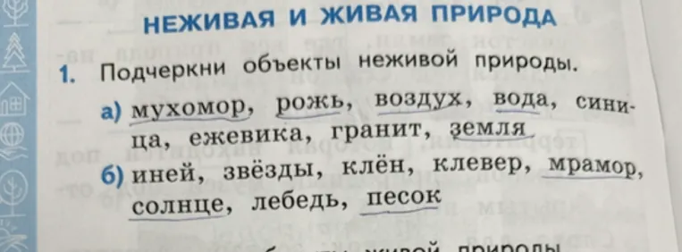 Подчеркни объекты неживой природы.