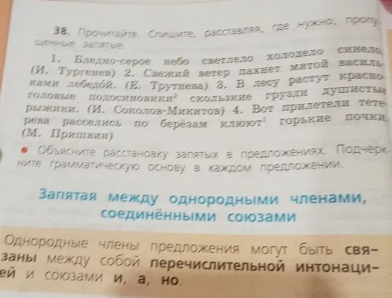 38. Прочитайте. Спишите, расставляя, где нужно, пропущенные запятые.
