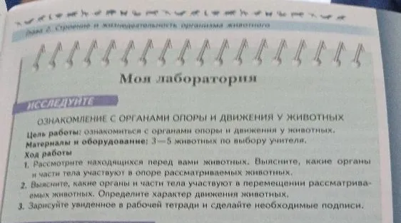 Ознакомление с органами опоры и движения у животных
