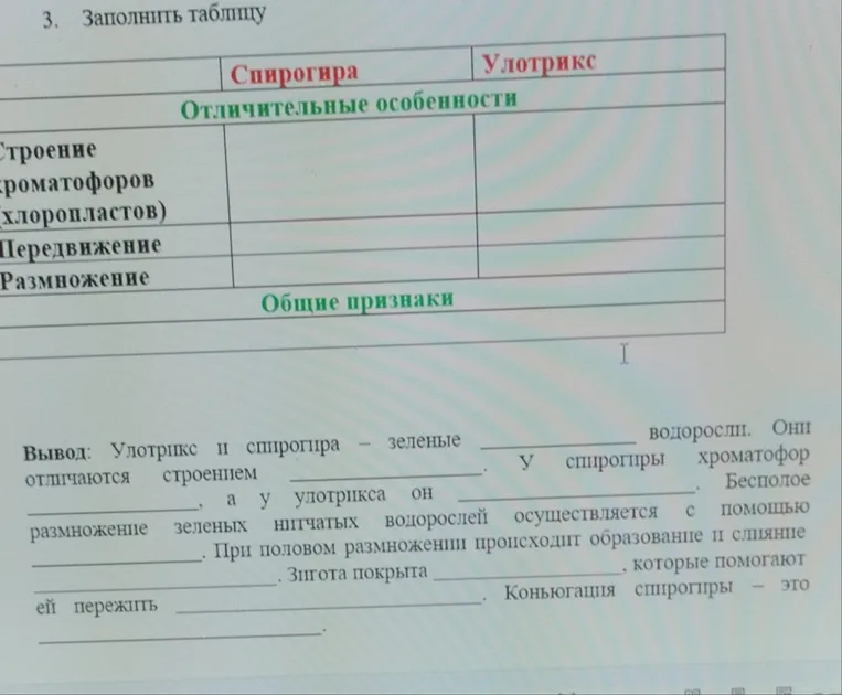 3. Заполнить таблицу