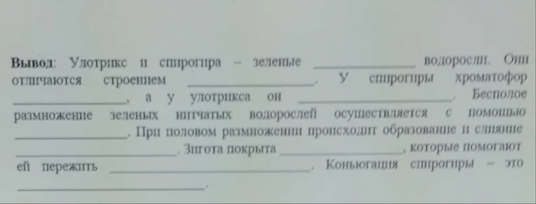 Вывод: Улотрикс и спирогира — зеленые ________ водоросли. Они отличаются строением ________. У спирогиры хроматофор ________, а у улотрикса он ________. Бесполое размножение зеленых нитчатых водорослей осуществляется с помощью ________. При половом размножении происходит образование и слияние ________. Зигота покрыта ________, которые помогают ей пережить ________. Коньюгация спирогиры — это ________.