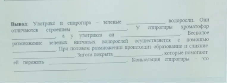 Вывод: Улотрикс и спирогира — зеленые ________ водоросли. Они отличаются строением ________. У спирогиры хроматофор ________, а у улотрикса он ________. Бесполое размножение зеленых нитчатых водорослей осуществляется с помощью ________. При половом размножении происходит образование и слияние ________. Зигота покрыта ________, которые помогают ей пережить ________. Коньюгация спирогиры — это ________.
