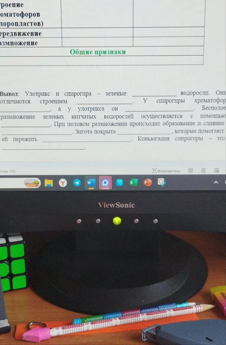 Вывод: Улотрикс и спирогира — зеленые __________ водоросли. Они отличаются строением __________.
