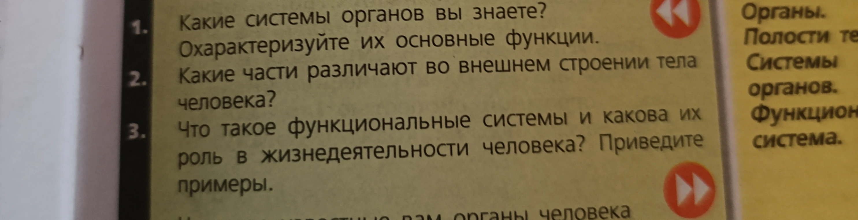 Какие части различают во внешнем строении тела человека?