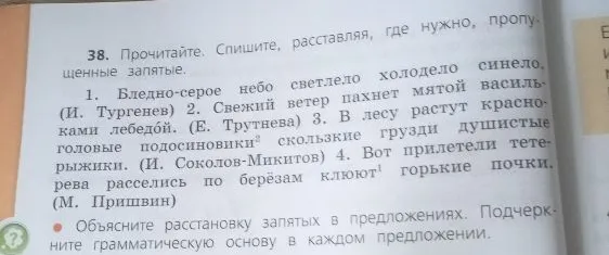 38. Прочитайте. Спишите, расставляя, где нужно, пропущенные запятые. Объясните расстановку запятых в предложениях. Подчеркните грамматическую основу в каждом предложении.