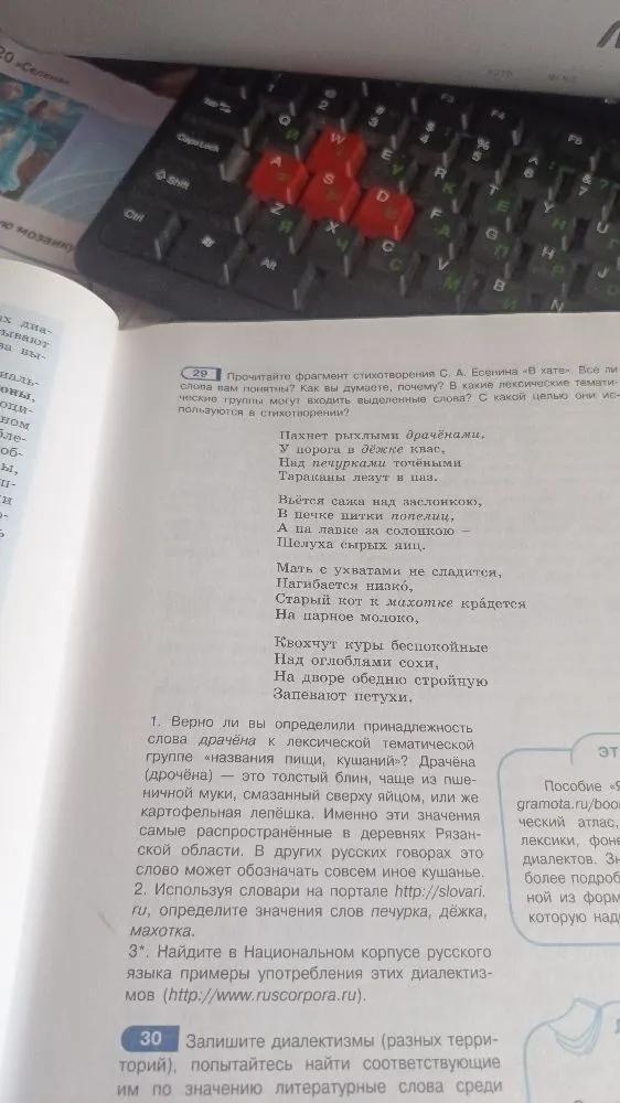 Прочитайте фрагмент стихотворения С. А. Есенина «В хате». Все ли слова вам понятны? Как вы думаете, почему? В какие лексические тематические группы могут входить выделенные слова? С какой целью они используются в стихотворении?