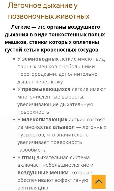 Лёгкие — это органы воздушного дыхания в виде тонкостенных полых мешков, стенки которых оплетены густой сетью кровеносных сосудов.