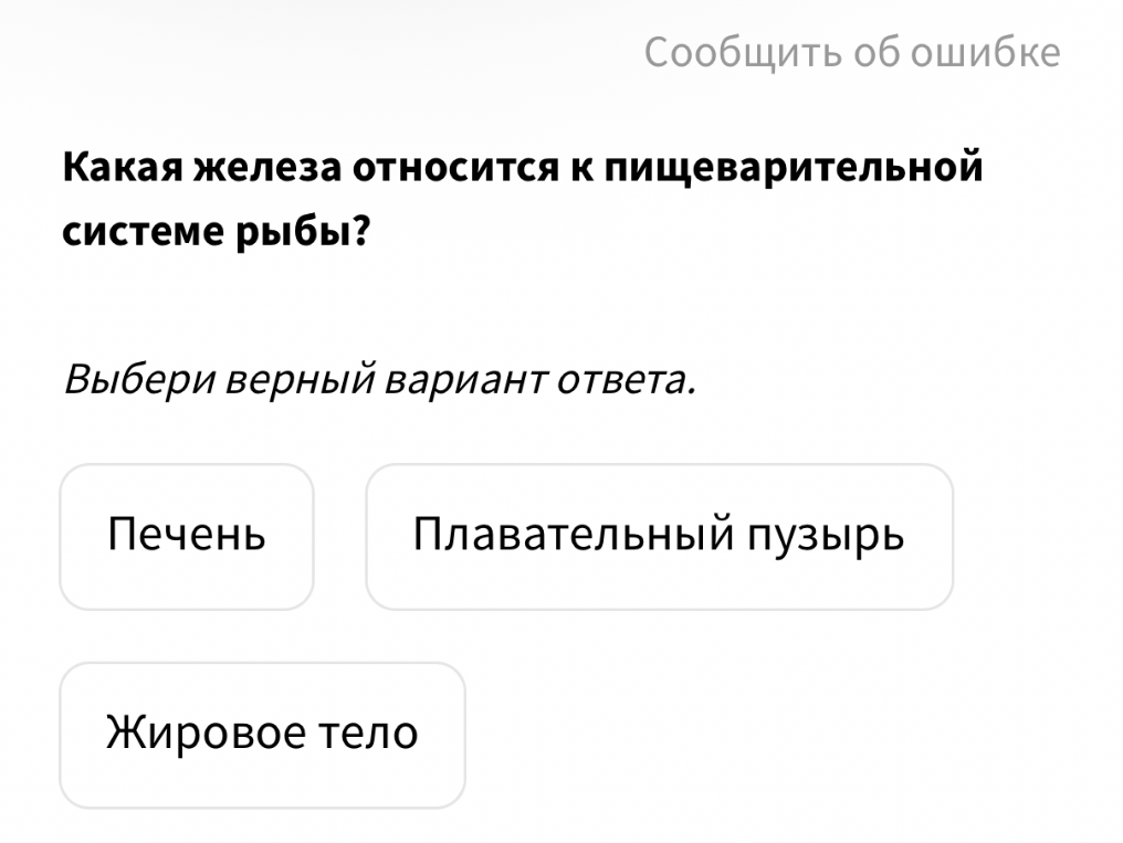 Какая железа относится к пищеварительной системе рыбы?