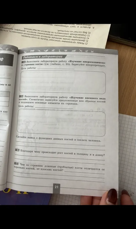 Выполните лабораторную работу «Изучение микроскопического строения кости» (см. учебник, с. 35). Зарисуйте микропрепарат.
