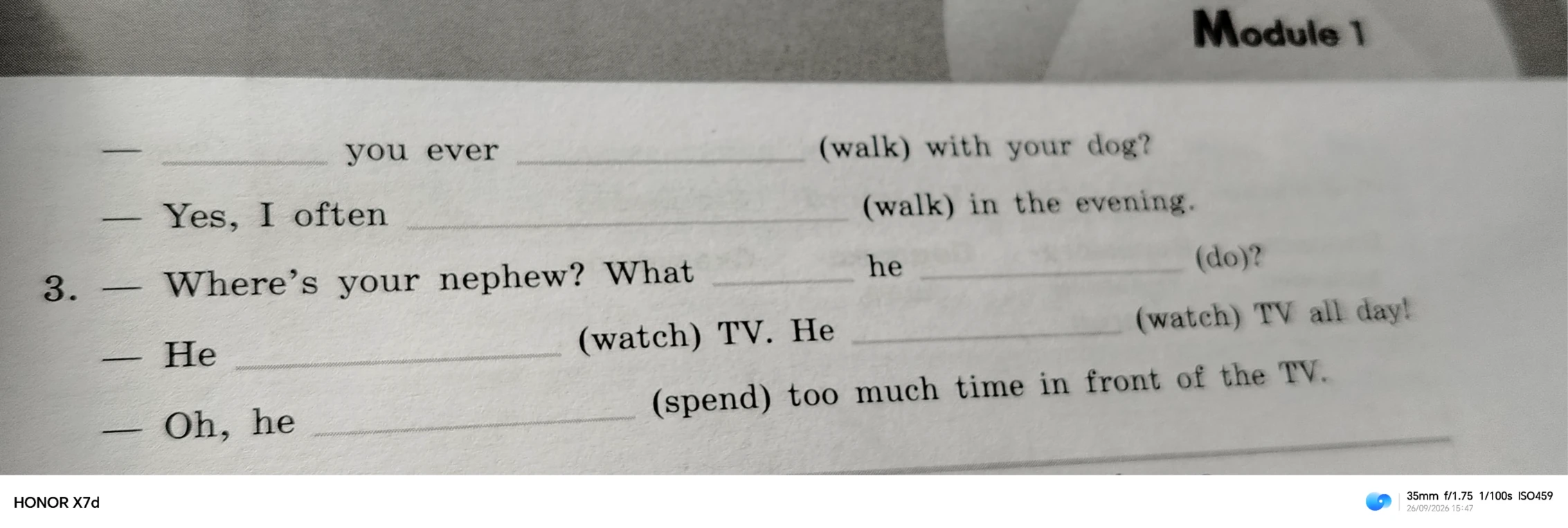 — you ever (walk) with your dog? — Yes, I often (walk) in the evening.
