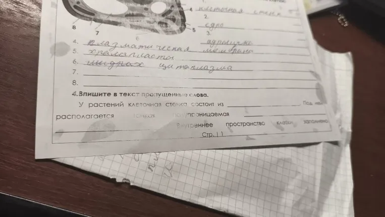 Впишите в текст пропущенные слова. У растений клеточная стенка состоит из ... Под ней располагается тонкая полупроницаемая ... Внутреннее пространство клетки заполнено ...