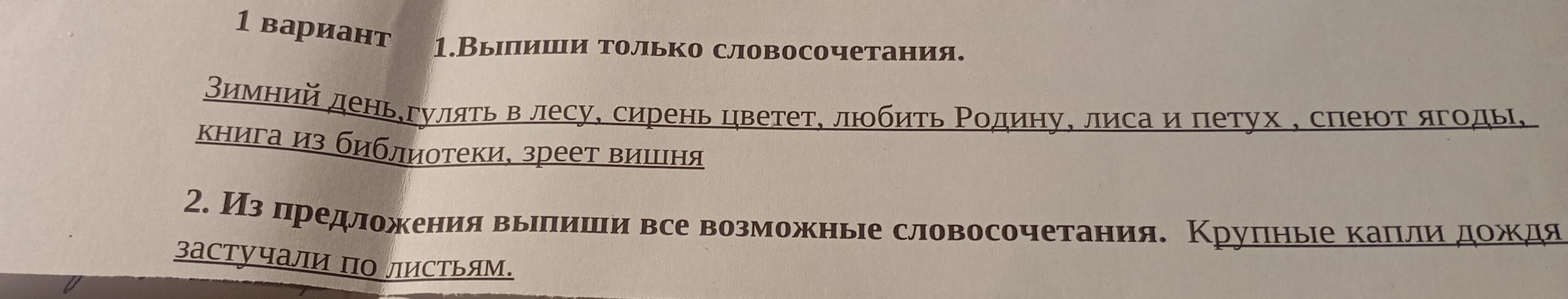 1.Выпиши только словосочетания. Зимний день, гулять в лесу, сирень цветет, любить Родину, лиса и петух , спеют ягоды, книга из библиотеки, зреет вишня