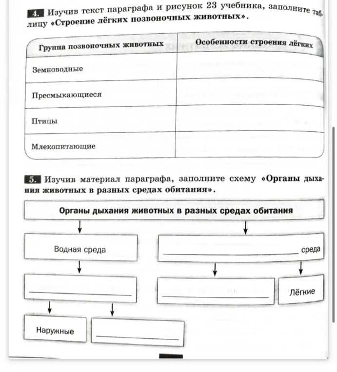 Изучив текст параграфа и рисунок 23 учебника, заполните таблицу «Строение лёгких позвоночных животных».
