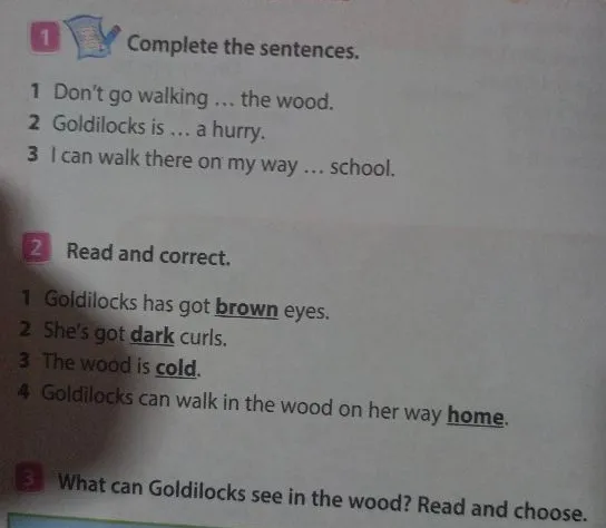 Complete the sentences. 1 Don't go walking ... the wood. 2 Goldilocks is ... a hurry. 3 I can walk there on my way ... school.