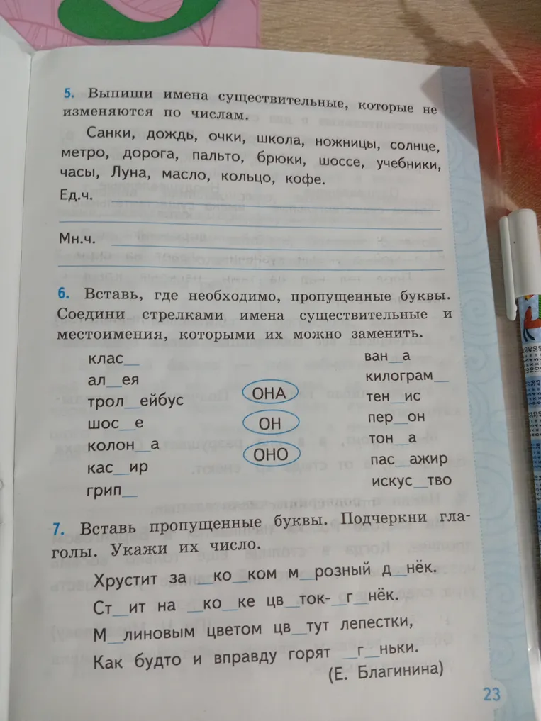 5. Выпиши имена существительные, которые не изменяются по числам.
