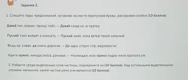 Спишите пары предложений, вставляя на месте пропусков буквы, раскрывая скобки