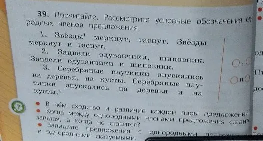 39. Прочитайте. Рассмотрите условные обозначения однородных членов предложения.