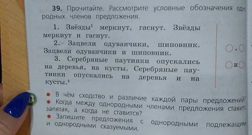 39. Прочитайте. Рассмотрите условные обозначения однородных членов предложения.